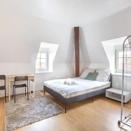 Exceptionnels Studio, Maison De Maitre, Parking Gratuit Sur Place, Centre Mulhouse