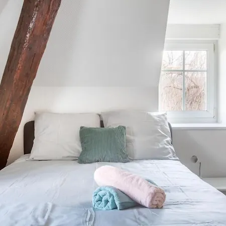 Exceptionnels Studio, Maison De Maitre, Parking Gratuit Sur Place, Centre ミュルーズ