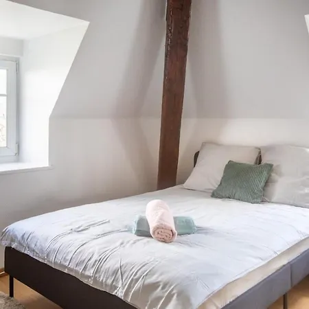 Exceptionnels Studio, Maison De Maitre, Parking Gratuit Sur Place, Centre Apartman Mulhouse