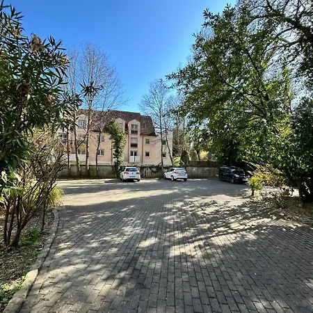 Exceptionnels Studio, Maison De Maitre, Parking Gratuit Sur Place, Centre Apartment Mülhausen