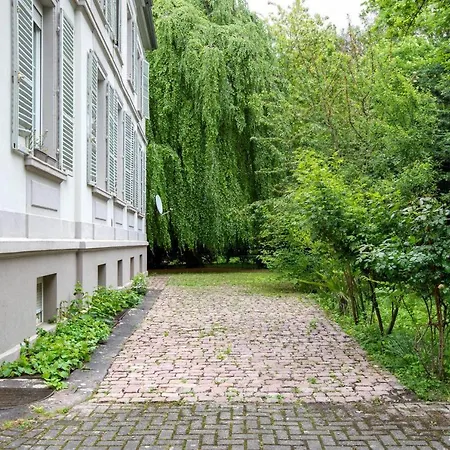 Апартаменты Exceptionnels Studio, Maison De Maitre, Parking Gratuit Sur Place, Centre