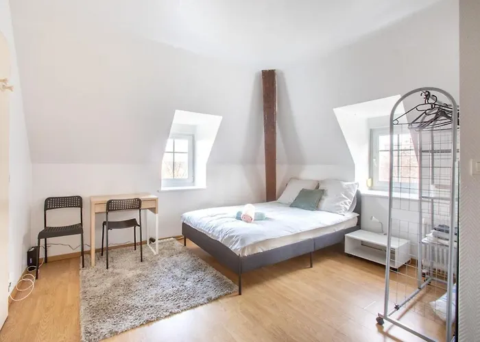 Exceptionnels Studio, Maison De Maitre, Parking Gratuit Sur Place, Centre Mülhausen