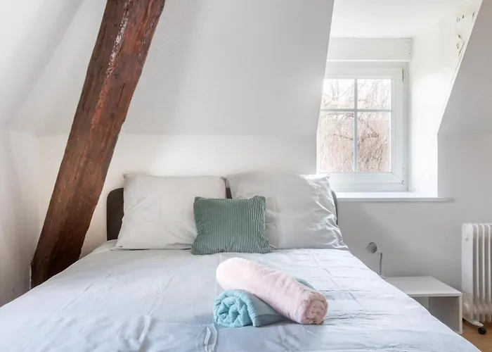 Exceptionnels Studio, Maison De Maitre, Parking Gratuit Sur Place, Centre מולהאוס