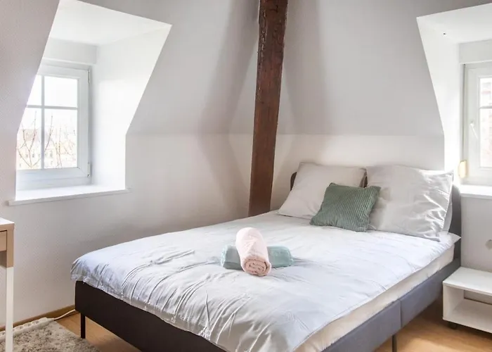 Exceptionnels Studio, Maison De Maitre, Parking Gratuit Sur Place, Centre Apartment Mülhausen