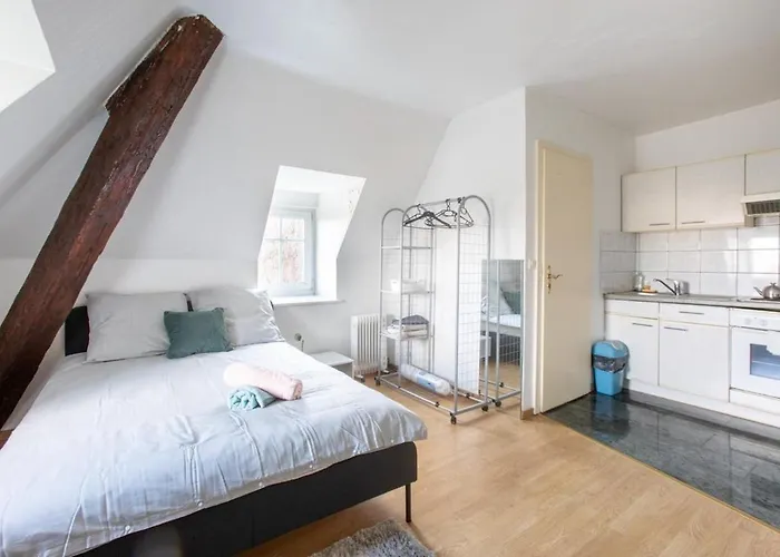 Exceptionnels Studio, Maison De Maitre, Parking Gratuit Sur Place, Centre Apartment *