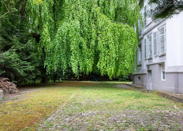 Exceptionnels Studio, Maison De Maitre, Parking Gratuit Sur Place, Centre Apartment *